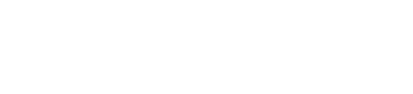 Logo Novo Animax